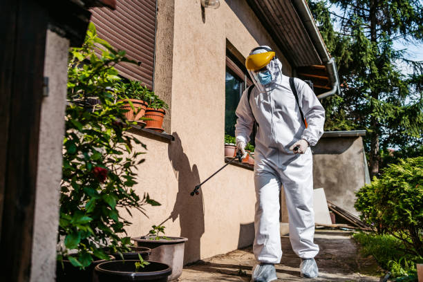 Best Termite Control Services  in La Pine, OR