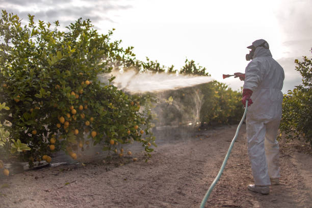 Best Pest Removal Services  in La Pine, OR