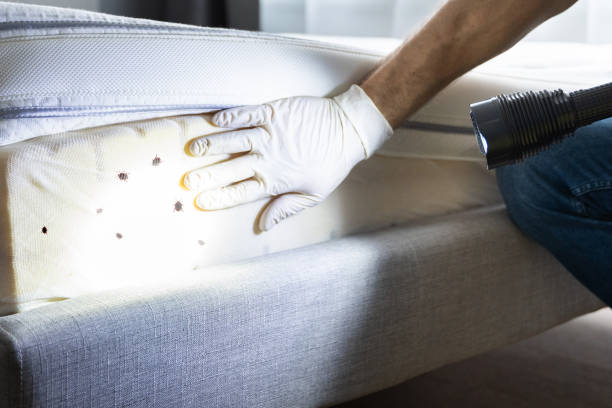 Best Pest Control Near Me in La Pine, OR