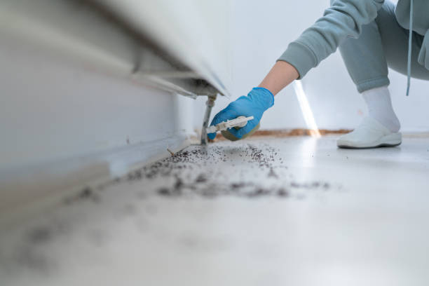 Best Best Pest Control Companies  in La Pine, OR