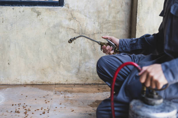 Best Pest Prevention Services  in La Pine, OR